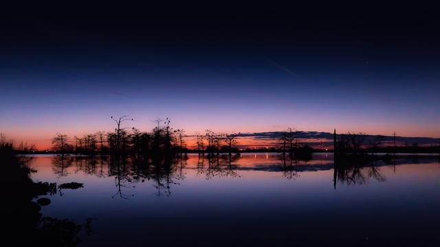 Cypress trees mirrored in glassy water at twilight off Tidewater Road in Venice, Louisiana