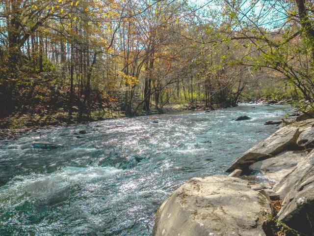 Rushing mountain river over boulders with autumn trees in the Smoky Mountains